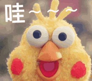 2023金秋车博会,本地车博会