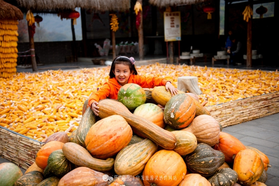 北京秋天赏红叶好去处房山坡峰岭,秋天赏红叶最佳去处