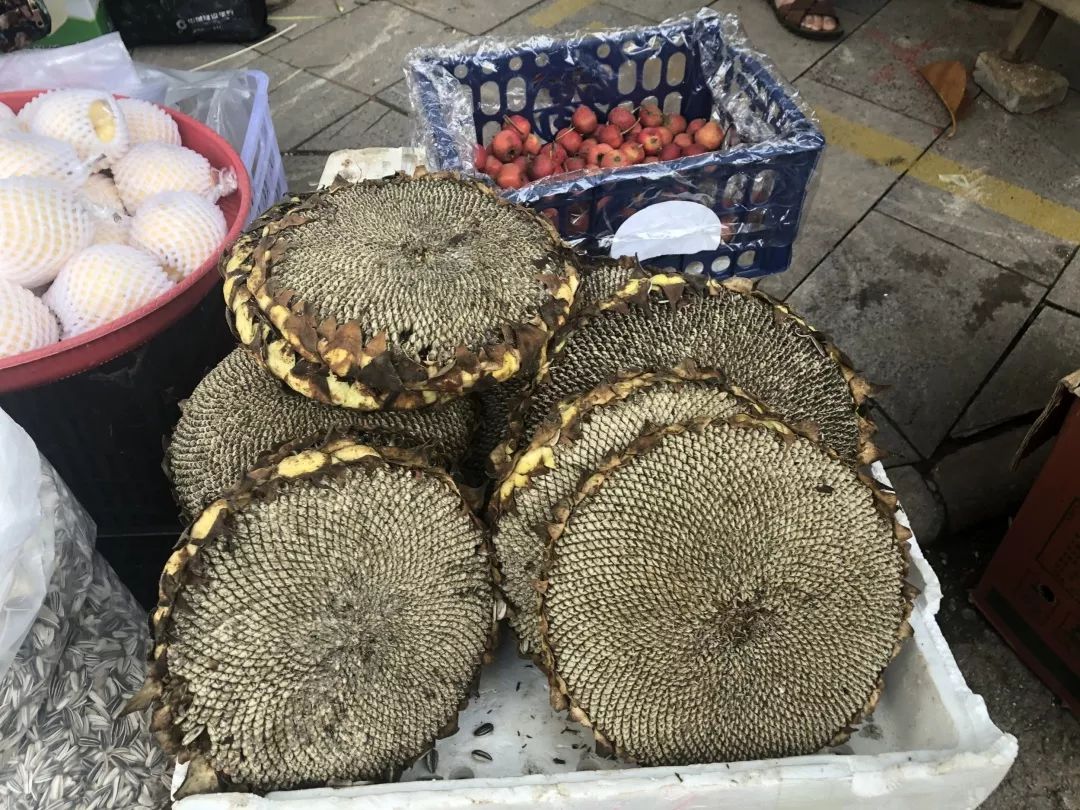 西双版纳傣族赶街视频,勐腊县勐仑镇赶街