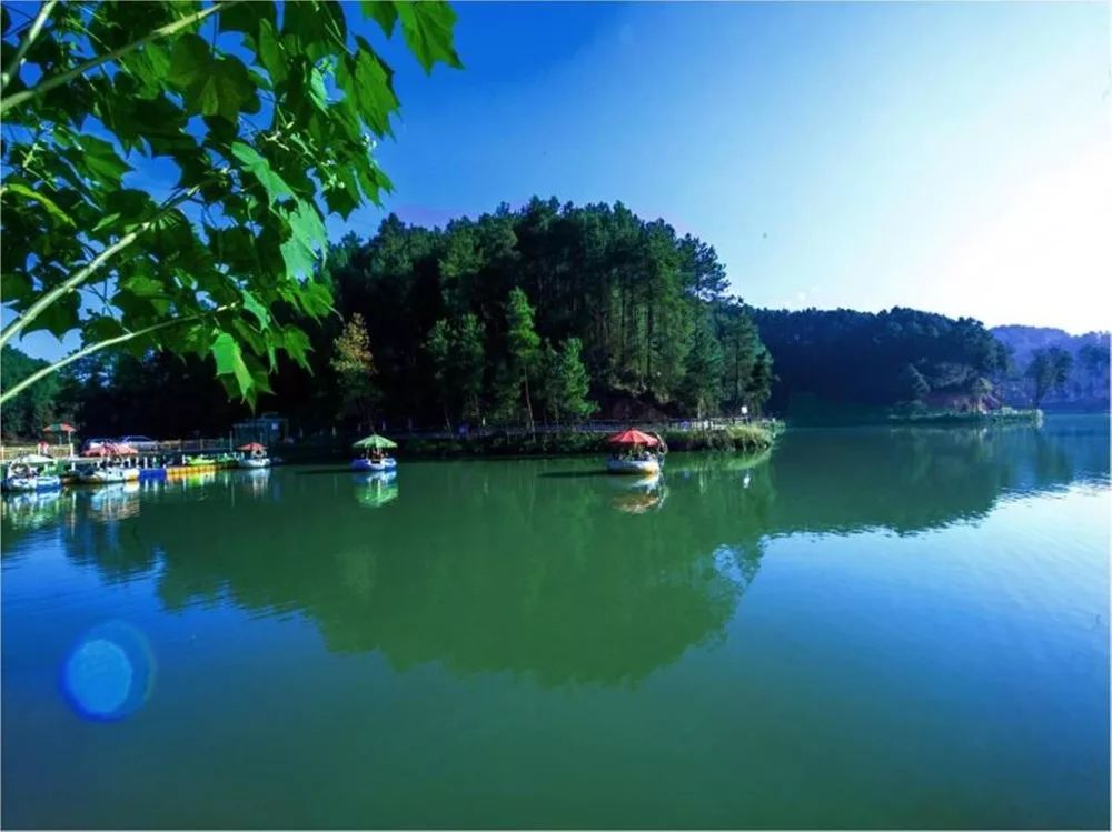 重庆乡村振兴大赛,重庆乡村振兴创业大赛