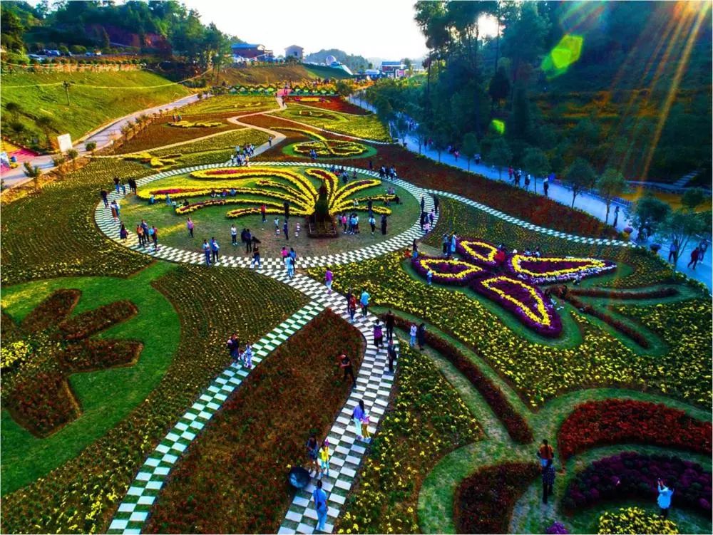 重庆乡村振兴大赛,重庆乡村振兴创业大赛