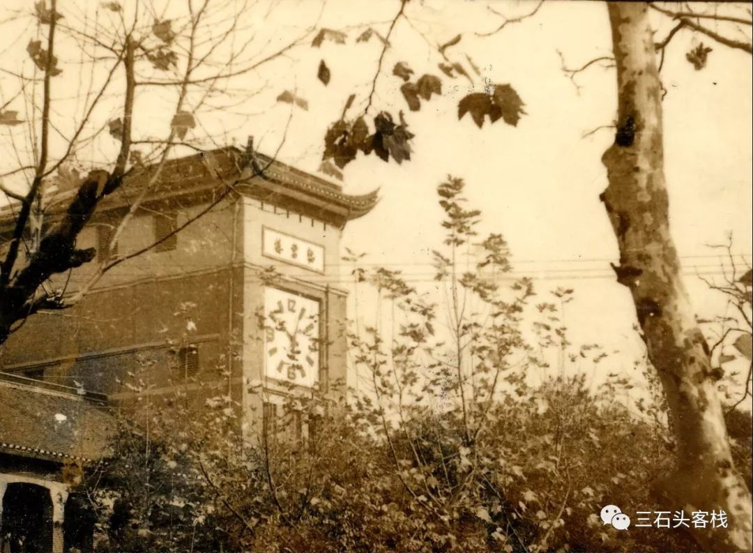 华政的简介,华政的故事