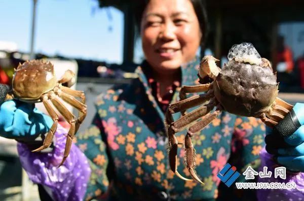 正宗三门青蟹膏蟹,三门青蟹膏蟹香辣蟹
