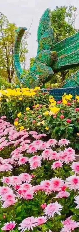 黄石周边一日游网红打卡地,黄石市爬山散步