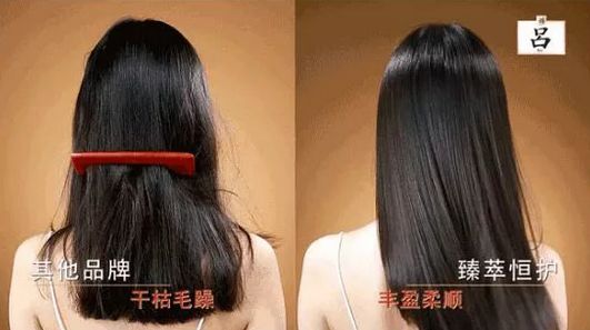 一根头发值25块,一根头发价值多少钱