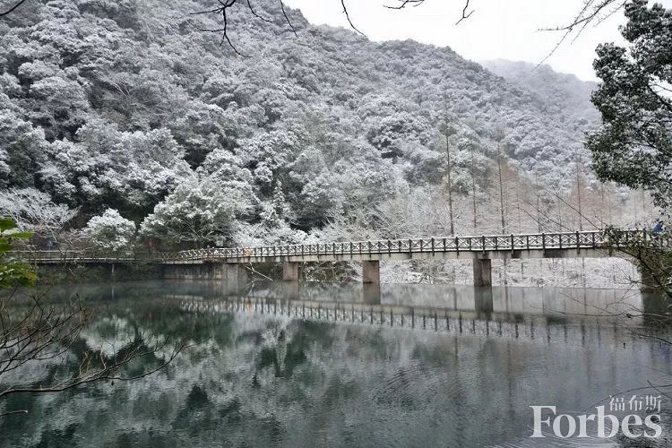 福布斯2023最佳旅行地,福布斯五星水疗