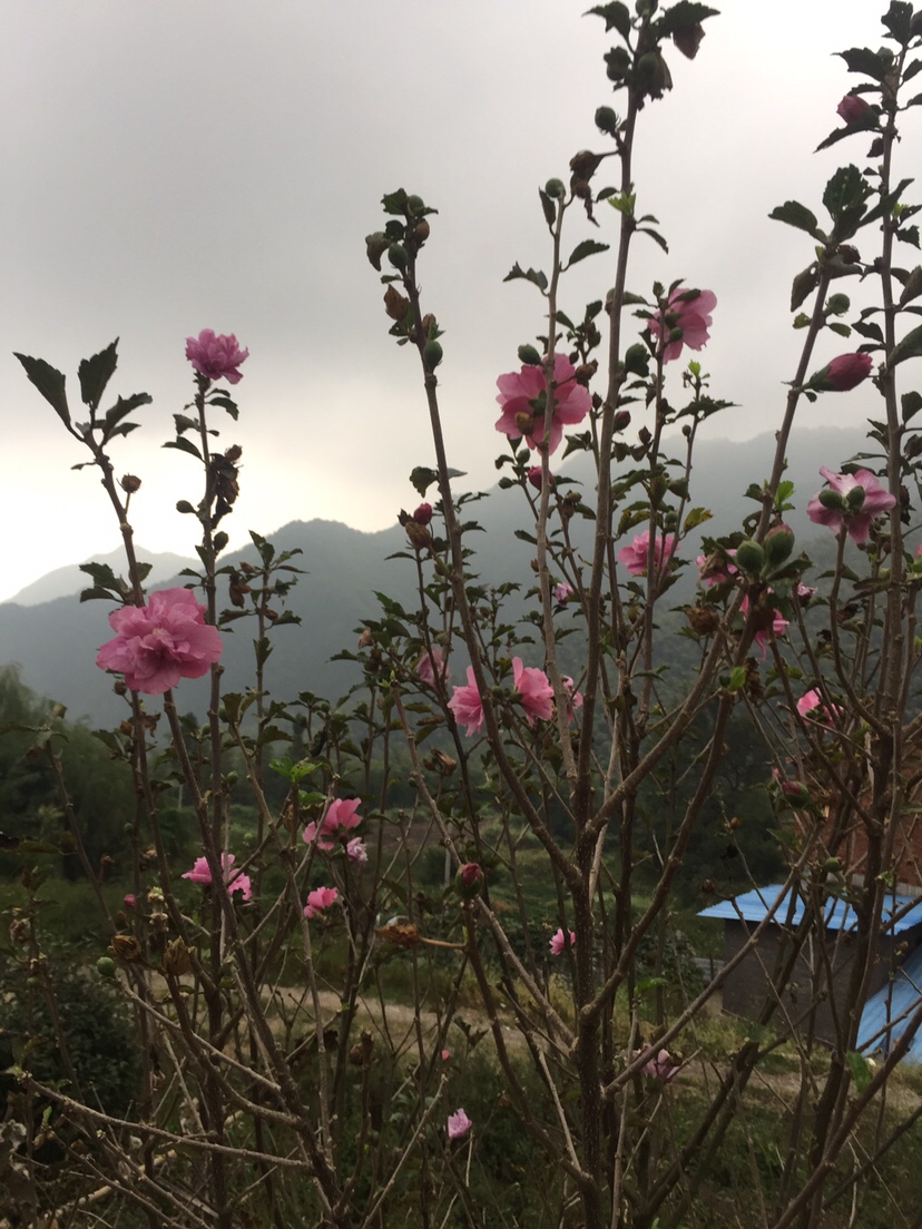 好久未发说说,好久没发过朋友圈的句子