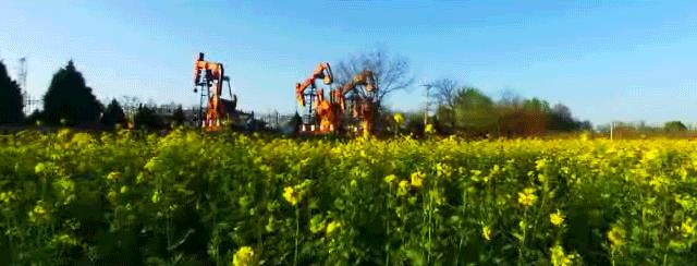 油田企业发展具体建议,中石化油气田怎么发展