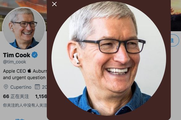 豌豆射手绿色吹风机,豌豆射手吹风机