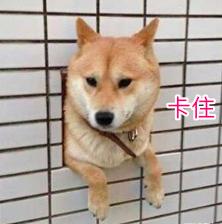 流量小花和实力小花演技,演技炸裂的流量小花