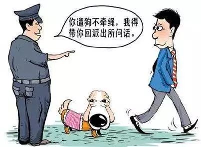 贵阳给狗狗办身份证,老狗办理电子犬证