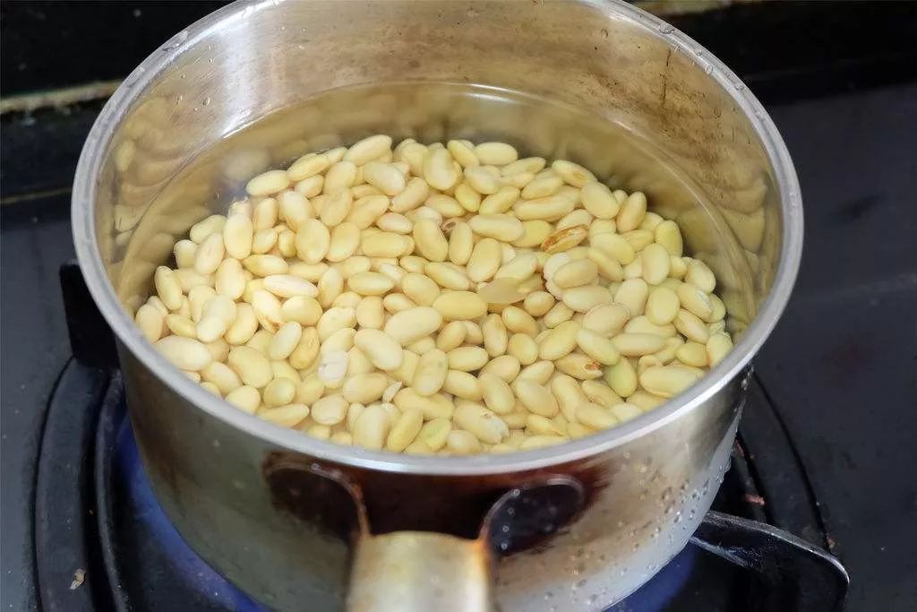 blendtec破壁机选哪一款,blendtec和vitamix破壁机