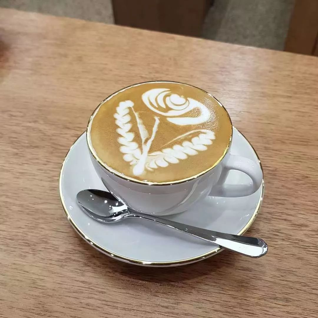 家用入门级的意式咖啡机买什么好,德龙意式半自动咖啡机银骑士测评