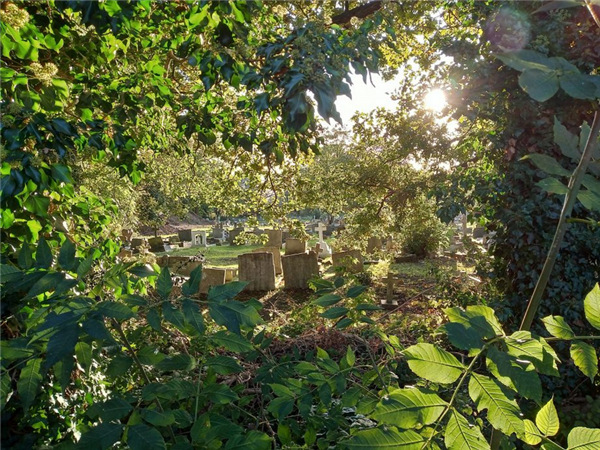 摩托罗拉e6plus,摩托罗拉e6手机质量怎么样