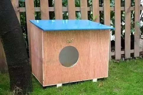 2019温暖继续！这是第七年CatS牌温暖冬屋，替猫咪们说感谢