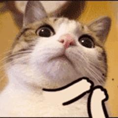 非洲小哥双11挣10万！留学生枯了：我这还琢磨去哪领券…