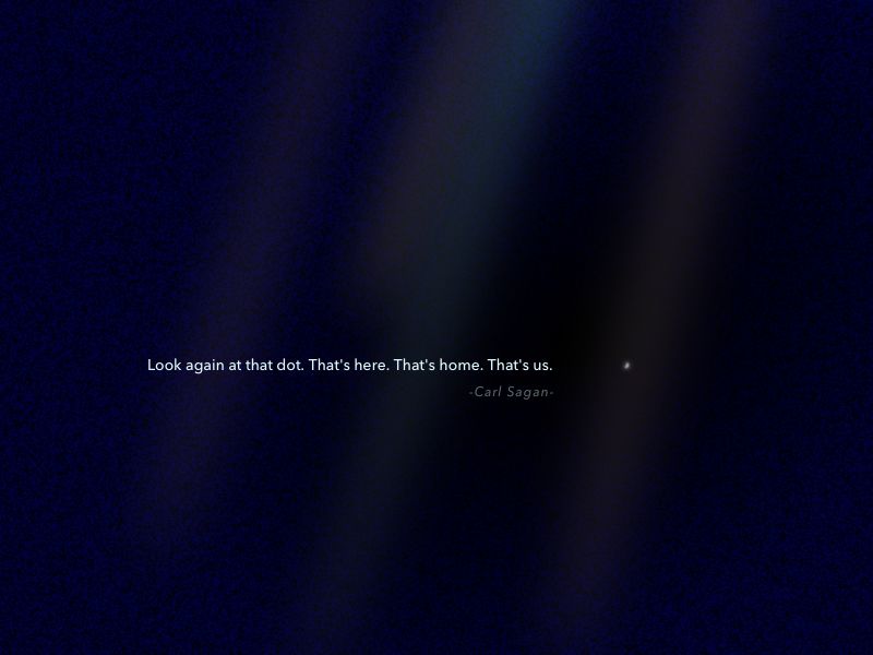 仿生人能梦到克莱因蓝吗,仿生人会梦见电子水母吗