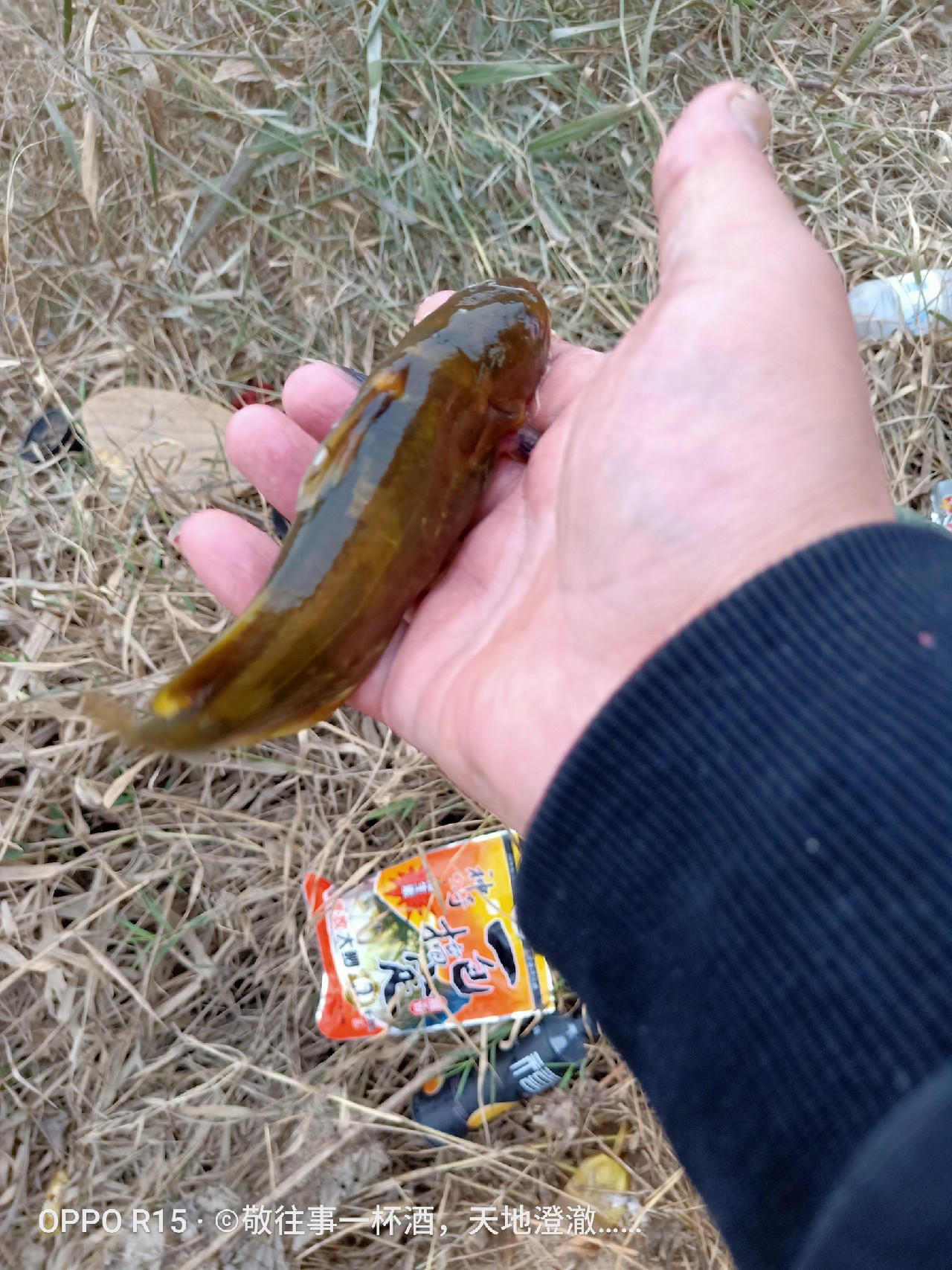 征服喝酒唱歌老三样,征服老三样片段