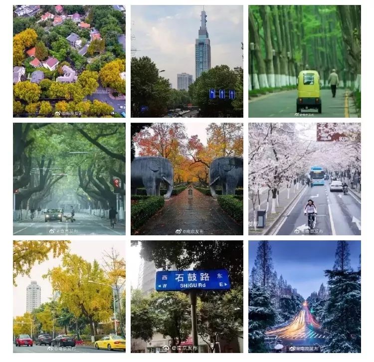 天呐!被南京这些路圈粉!