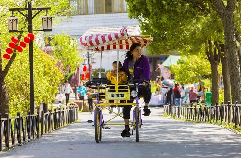 天呐！被南京这些路圈粉！