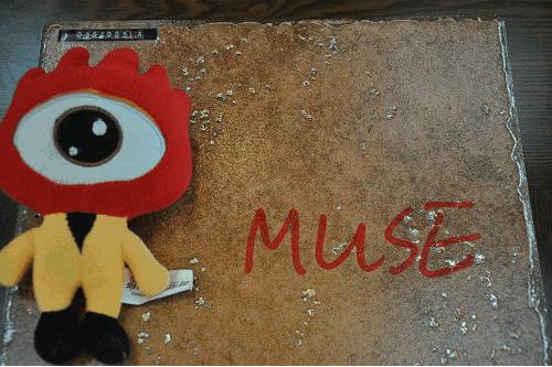 美陶瓷砖优缺点有哪些,金意陶大尺寸瓷砖