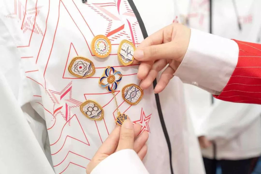 进博会小叶子徽章,进博会小叶子完整视频