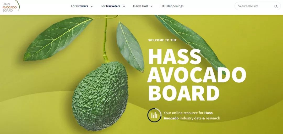 牛油果减肥好处有哪些呢,牛油果减肥真的有效吗