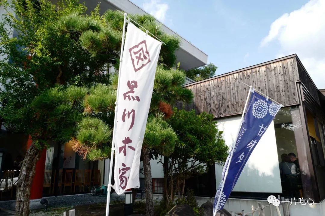 奈良的小鹿,奈良的小鹿最近新消息