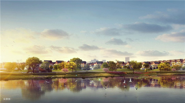 闄㈠瓙閲岀殑鐢熸椿缇庡,闄㈠瓙鐢熸椿缇庡