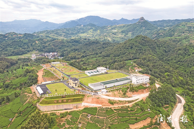 福鼎市经济建设情况,改革创新求真务实奋勇争先