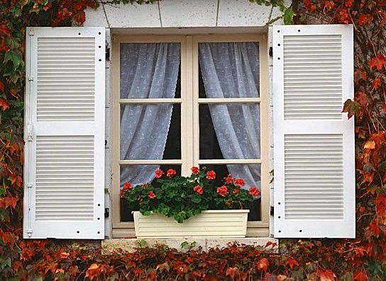 拖地有腥臭味怎么去除,拖地闻到腥味怎么解决