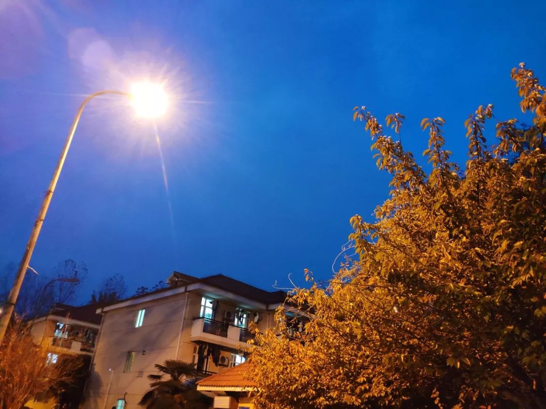 快来解锁南工夜生活，原来大家都在做这些事情......