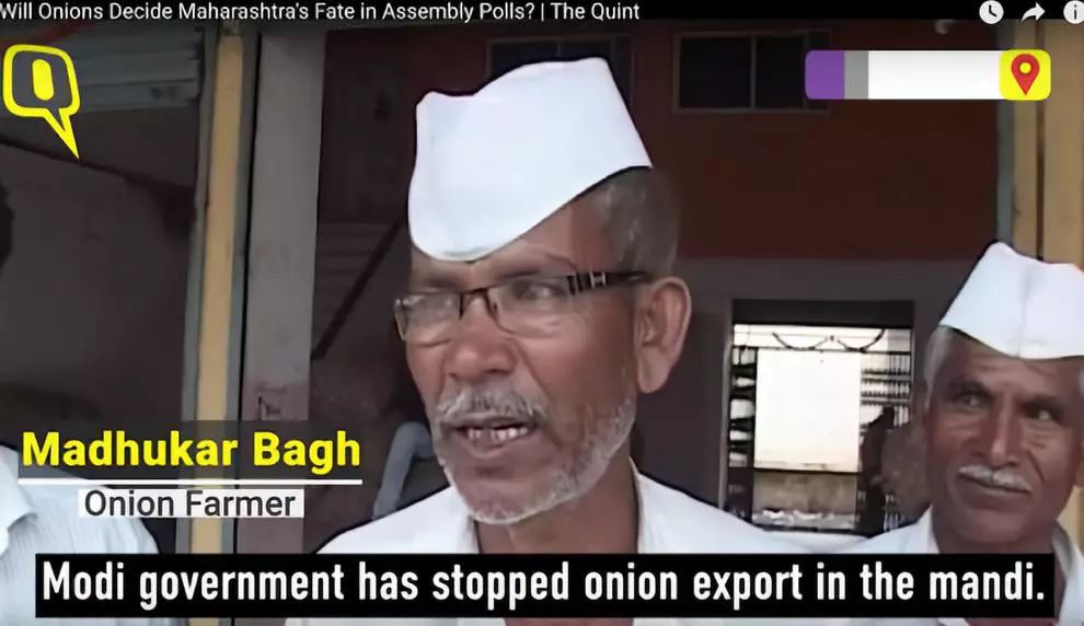 一颗洋葱让我泪流满面,一颗洋葱引发的危机