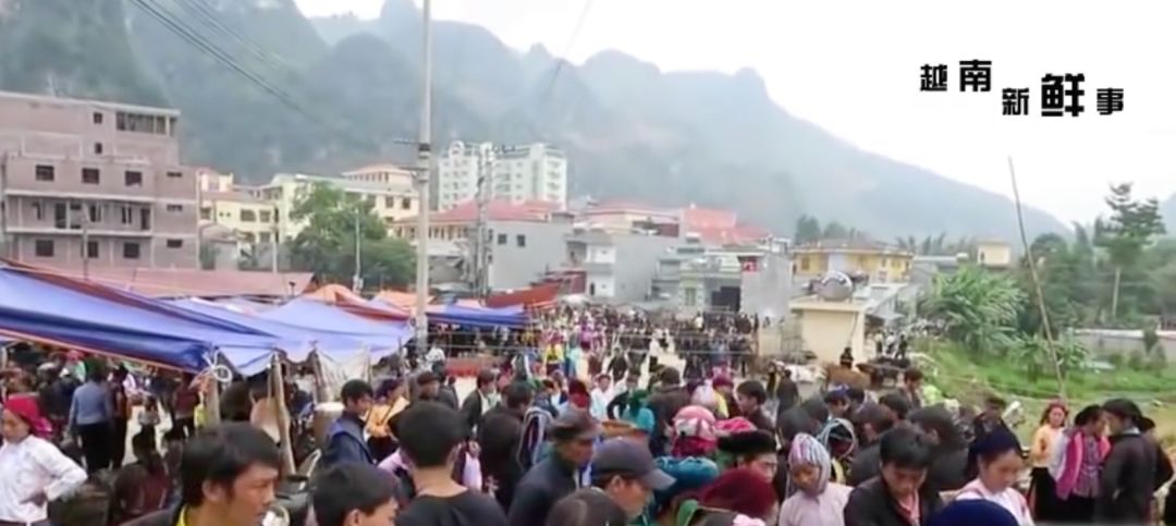 你家楼下的菜市场成了当代青年的马尔代夫