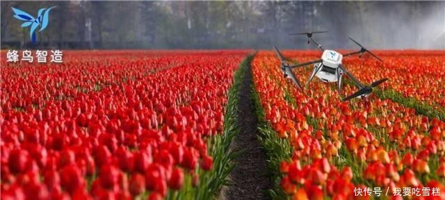 植保无人机飞防一小时多少亩,植保无人机喷药注意事项