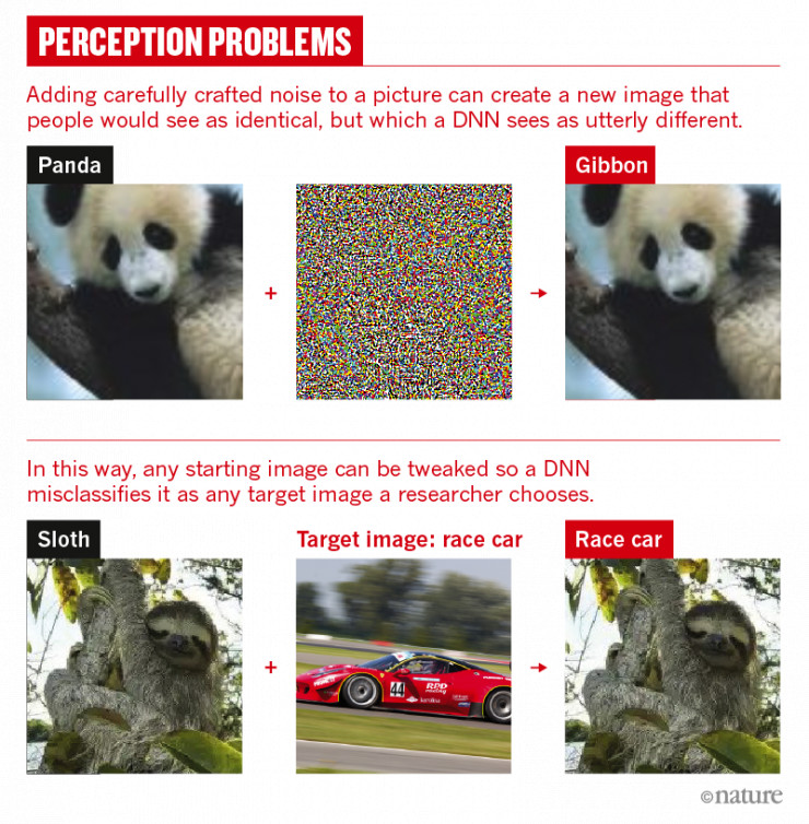 「熊猫」变「长臂猿」，「乌龟」变「来复枪」，深度学习模型被攻击，破解之道有哪些？