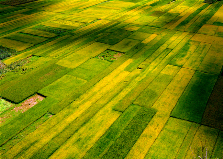 曹振华富源,富源金城路曹振华