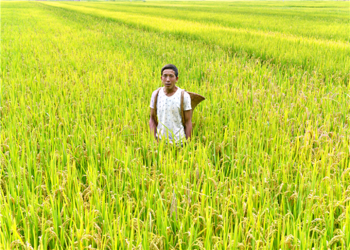 曹振华富源,富源金城路曹振华