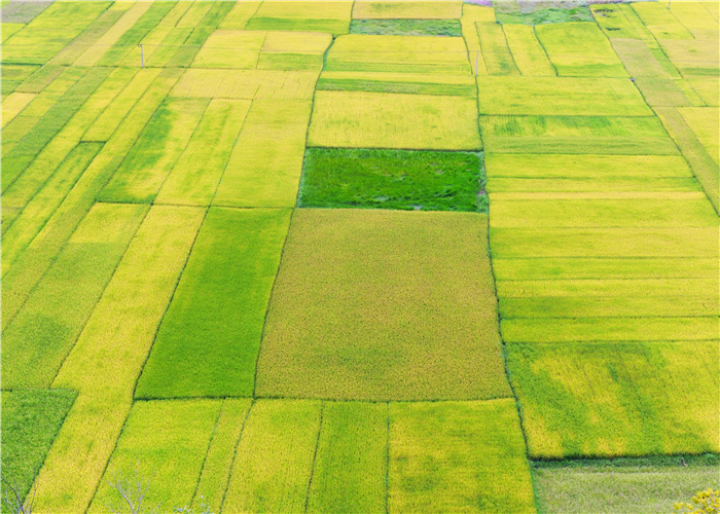 曹振华富源,富源金城路曹振华