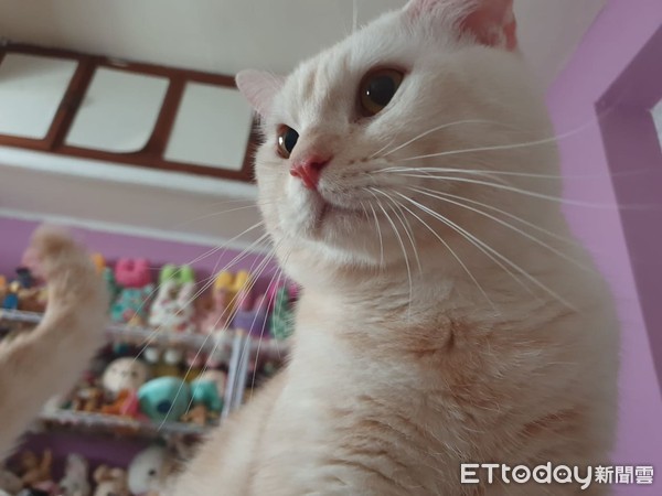 5条海参陷毒窟！握住糖果袋鼠跳