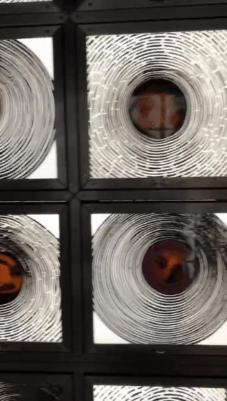 塔斯马尼亚古今艺术博物馆,塔斯马尼亚古今博物馆