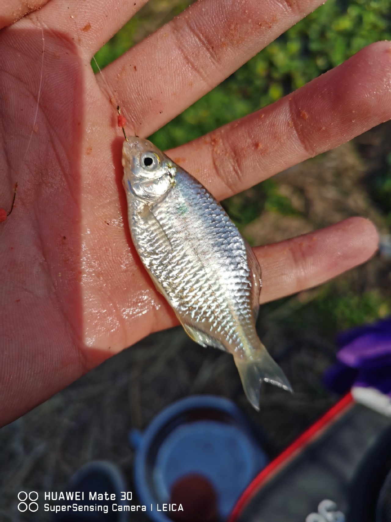 挤时间绑线组备战，没想到龙王爷给我来个透心凉