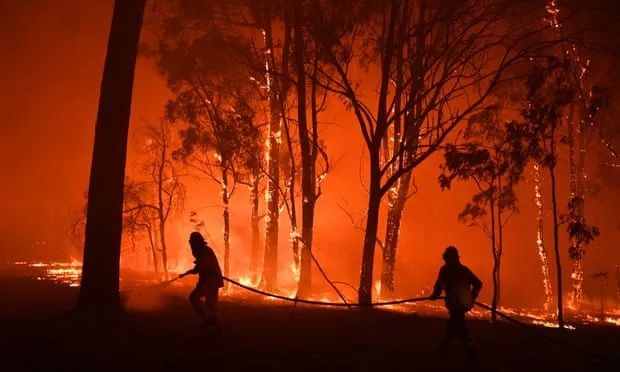 2019年流行英语热词,各大英文词典年度热词