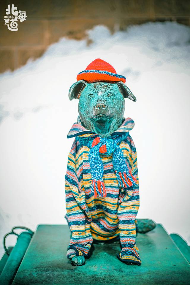 北海道冬季自由行游记,北海道情书