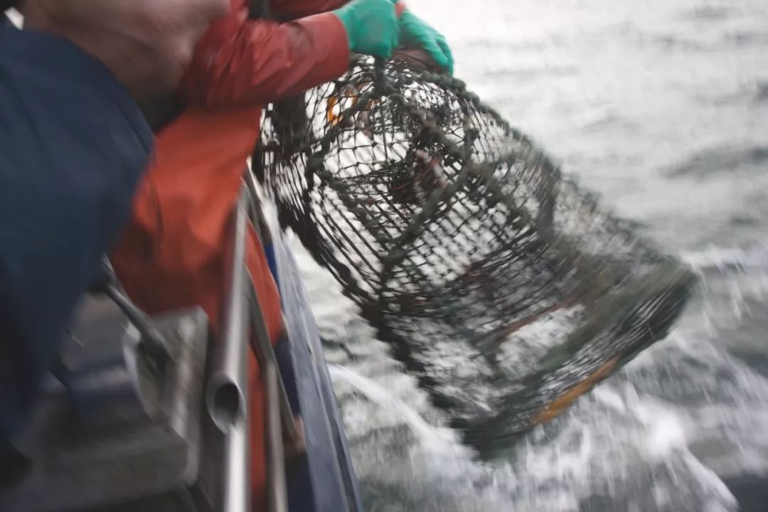 恐高症慎入风景区,恐高慎入沉浸式体验