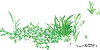 真宝藏国货,宝藏老国货好用