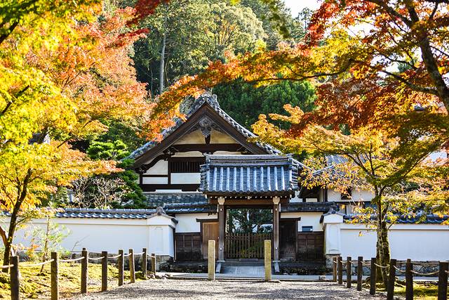 15天关西自由行,日本关东7日自由行