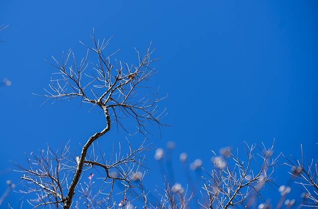 15天关西自由行,日本关东7日自由行