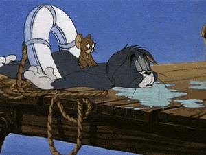 猫空中转体的动力学,猫空中转身的力学原理