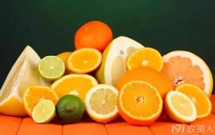 柑橘大混战怎么卖果,种植柑橘靠品质盈利谈何容易